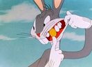 The Wacky Wabbit