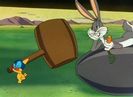 Falling Hare
