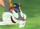 Falling Hare