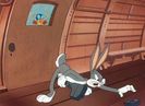 Falling Hare