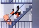 Yankee Doodle Daffy