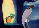 Tortoise Wins By A Hare