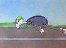Tortoise Wins By A Hare