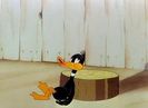 The Wise Quacking Duck