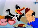The Wise Quacking Duck