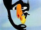 The Wise Quacking Duck