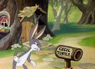 Tortoise Beats Hare