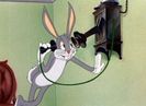 The Wabbit Who Came To Supper
