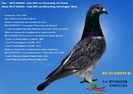 RO 23 435870 M REZERVAT GALAN PIATRA NEAMT Pret 200 Lei + transportul