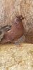 WhatsApp Image 2025-01-07 at 15.53.32_fd51cc75