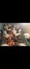Screenshot_20250114_192045_Gallery
