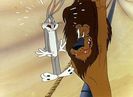 Acrobatty Bunny