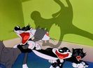 Kitty Kornered
