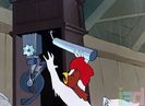 The Rattled Rooster