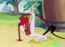 The Rattled Rooster