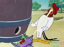 The Rattled Rooster