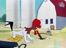 The Rattled Rooster