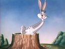 The Unruly Hare