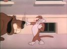 Dog Gone Cats