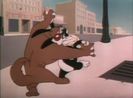 Dog Gone Cats