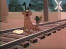 Dog Gone Cats
