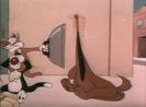 Dog Gone Cats