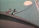 Dog Gone Cats