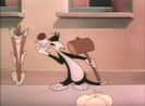 Dog Gone Cats