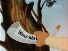 The Sheepish Wolf
