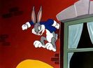 A Hare Grows In Manhattan