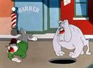 A Hare Grows In Manhattan