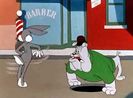A Hare Grows In Manhattan