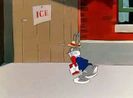 A Hare Grows In Manhattan