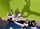 Kitty Kornered