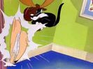 Kitty Kornered