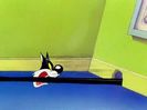 Kitty Kornered