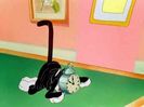 Kitty Kornered