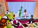 Kitty Kornered