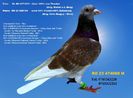 RO 23 474068 M Pret  150 Lei + transportul