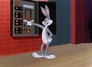 Hare Do