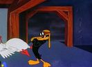 Plane Daffy