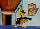 Plane Daffy