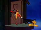 Plane Daffy