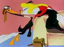 Plane Daffy