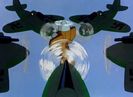 Daffy The Commando