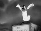 The Ducktators