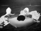 The Ducktators