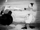 The Ducktators