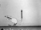 Porky In Wackyland