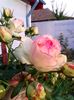 Messenger_creation_711053B6-F34C-4D91-B8CF-8F3463601F52